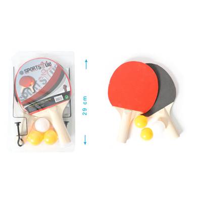 Ensemble 2 Raquettes Ping Pong avec Filet