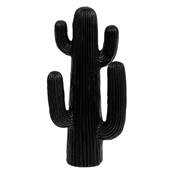 Cactus Exterieur Rodrigo H38