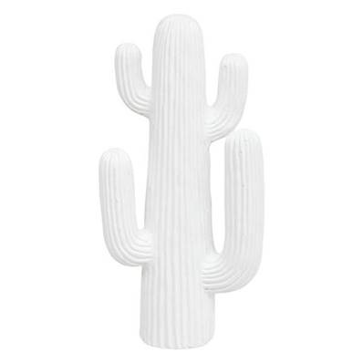 Cactus Exterieur Rodrigo H38