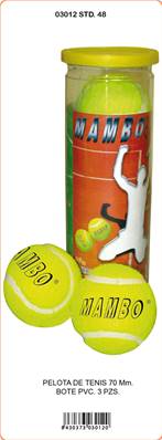 Tube 3 Balles de Tennis
