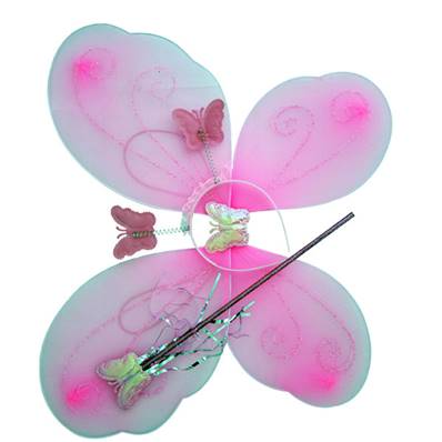 Ailes de Fée 50 x 40 Cm