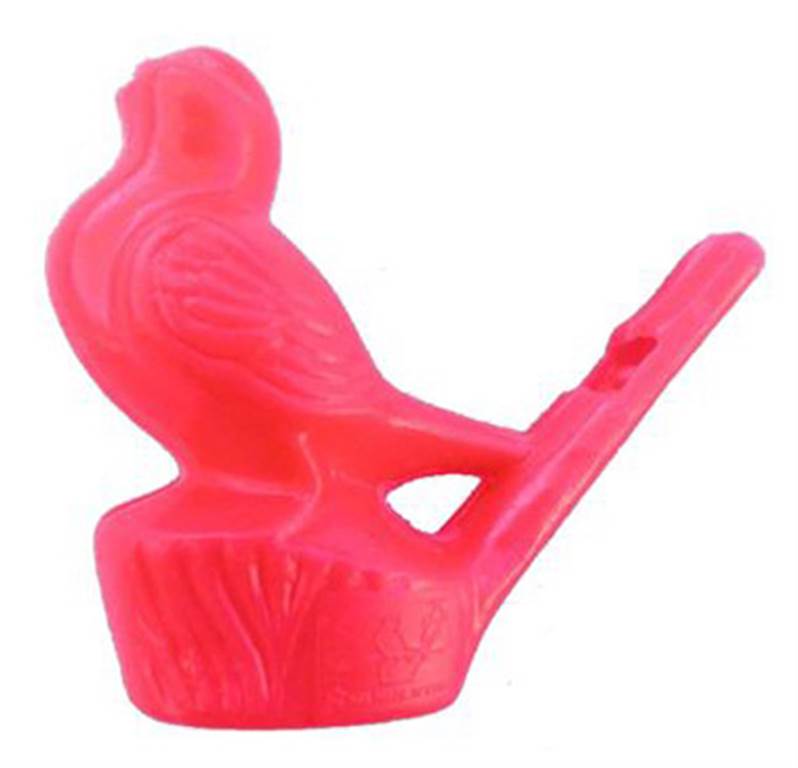 Oiseau Siffleur
