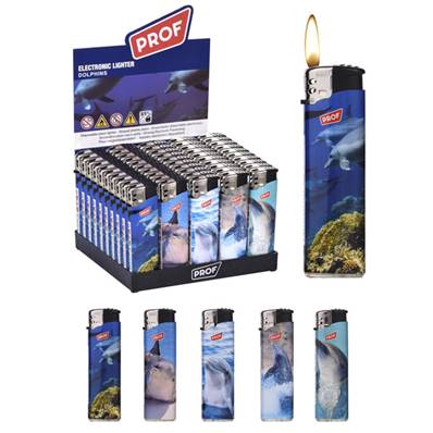 Briquets Prof Dauphins Electronique